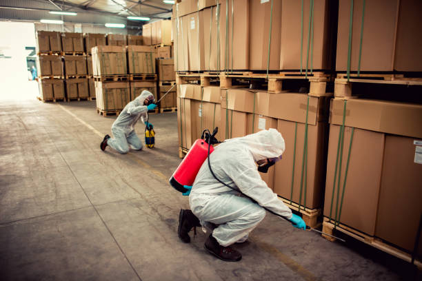 Best Flea Control Services  in Arche, OK