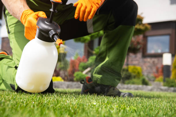  Arche, OK Pest Control Pros