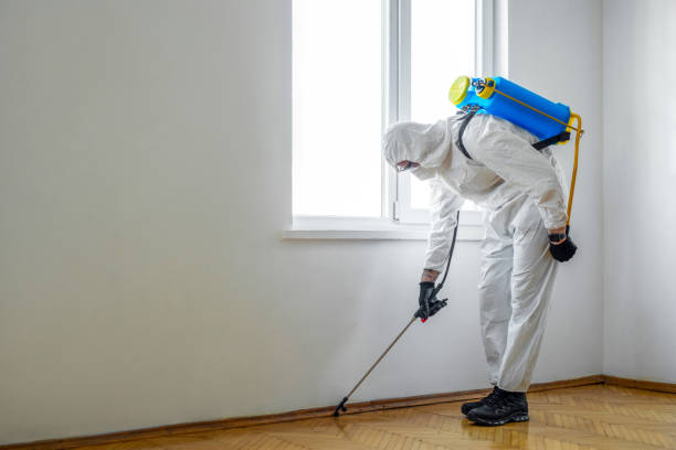 Best Residential Pest Control  in Arche, OK