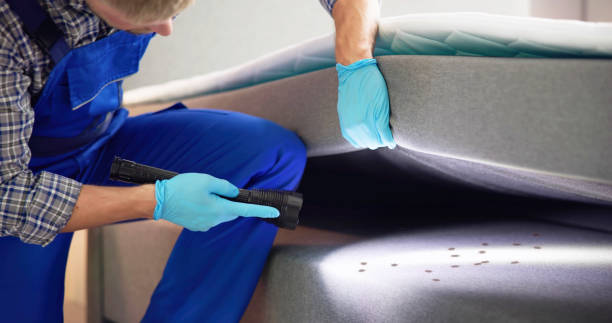 Best Local Pest Control Services  in Arche, OK