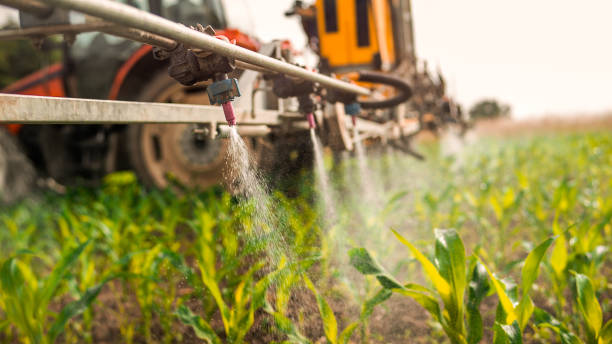 Best Mosquito Control Services  in Arche, OK